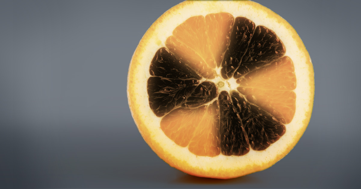 Verschillende voedselveiligheidsgevaren - Riskplaza Europe